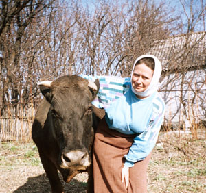 Коров нельзя не полюбить. Май 2006 года.